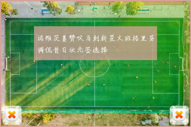 诺维茨基赞叹马刺新星文班格里芬调侃昔日状元签选择