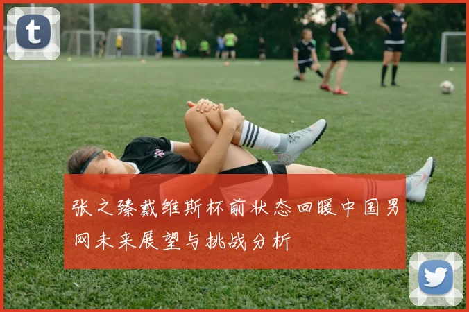 张之臻戴维斯杯前状态回暖中国男网未来展望与挑战分析